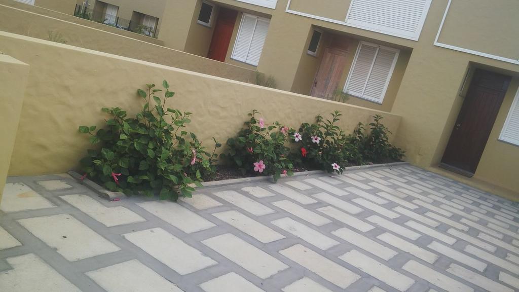 Holiday home Casa Miradouro Do Moinho Porto Santo
